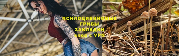 амф Горно-Алтайск