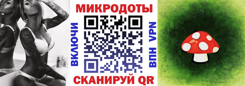 Псилоцибиновые грибы Cubensis  площадка какой сайт  Верхняя Пышма 
