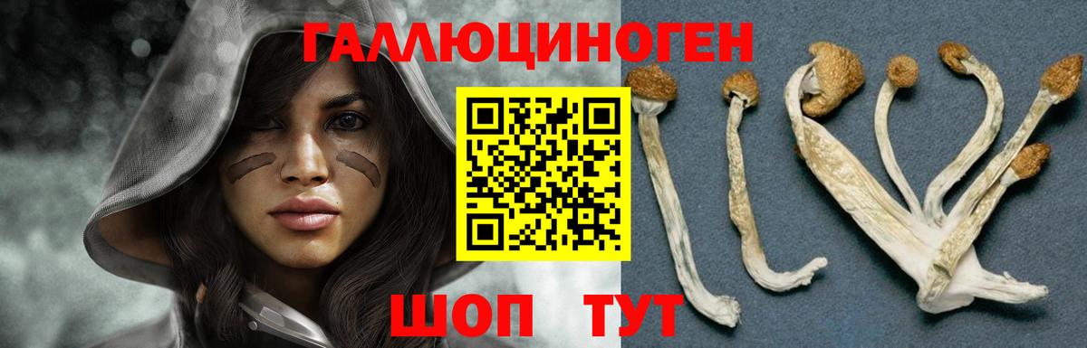 Псилоцибиновые грибы MAGIC MUSHROOMS Верхняя Пышма